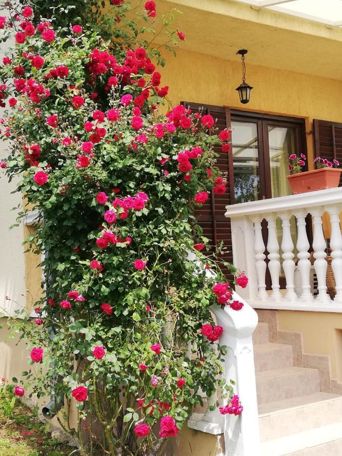 Croatia Cottage Nova Kapela Exterior photo